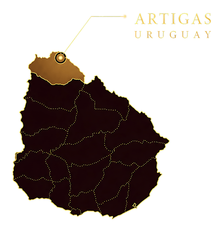 Mapa Gran Meat — Artigas, Uruguay